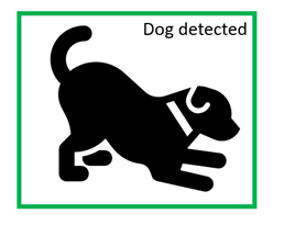 Animal detection 1 photo